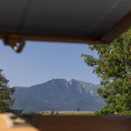 Apartamenty U Anusia Zakopane Esterno foto