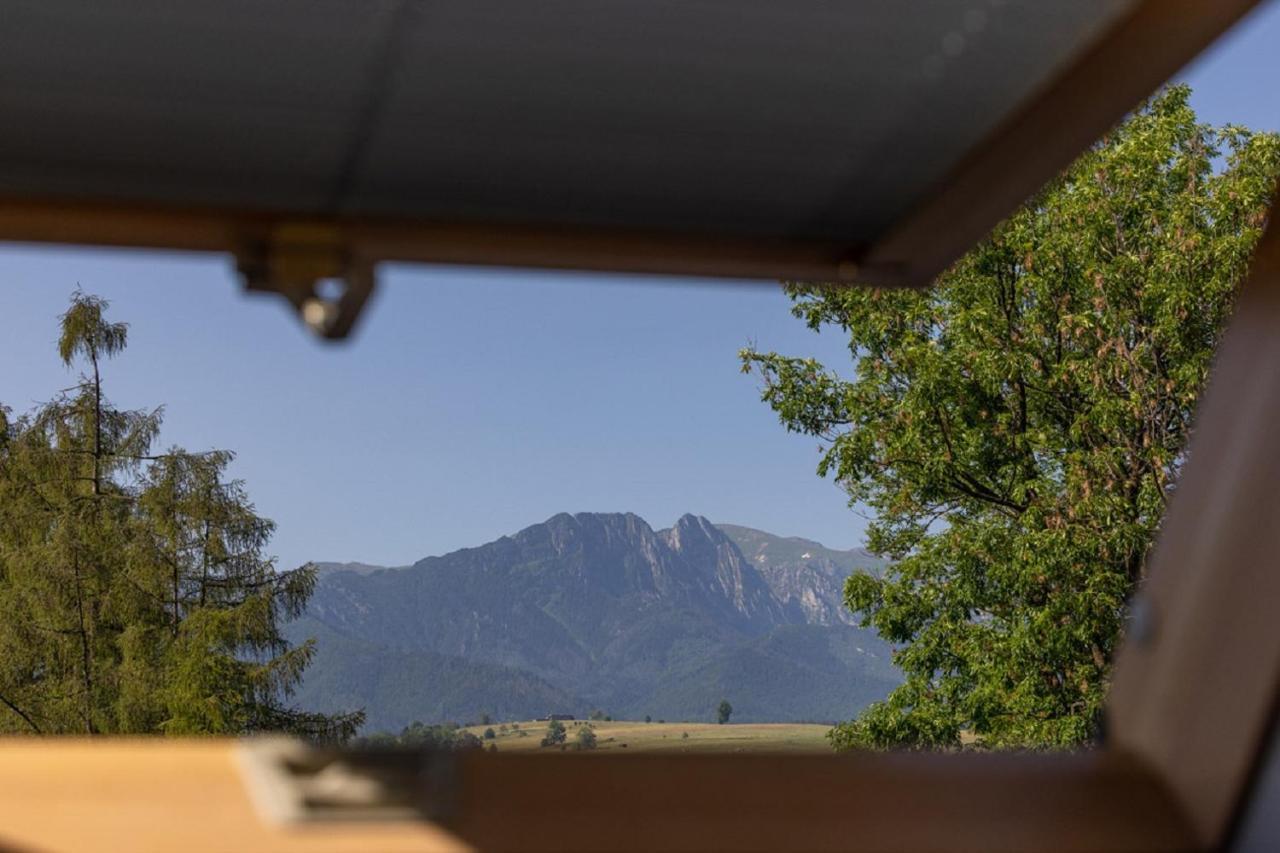 Apartamenty U Anusia Zakopane Esterno foto